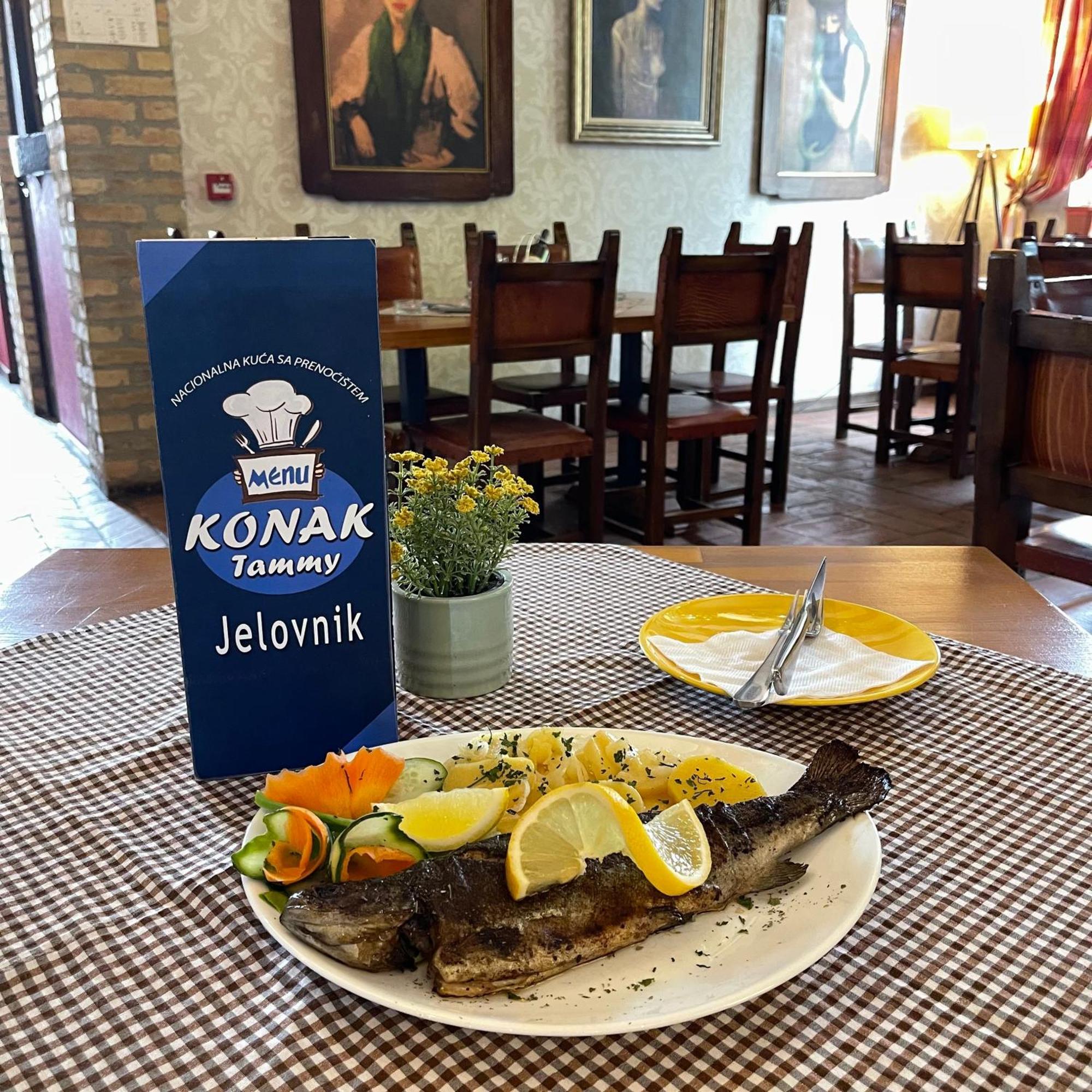 Hotel Konak Tammy Platicevo - Šabac Dış mekan fotoğraf